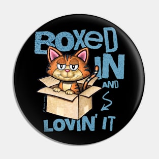 Cute Cartoon Cat Sitting In Box Pin