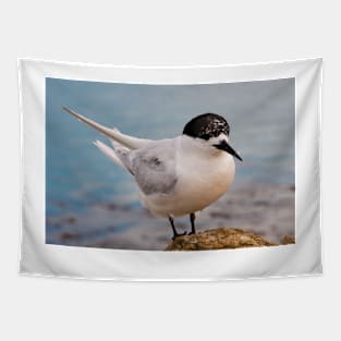 Tern 1 Tapestry