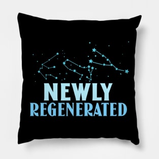 Newly Regenerated Pillow
