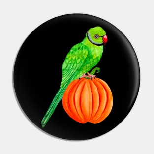 Cute Halloween Ringneck Parrot on Autumn Pumpkin Pin