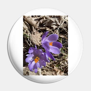 Long live the crocuses 1 Pin