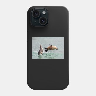 Playful Sea Lions, Baird Bay SA Phone Case