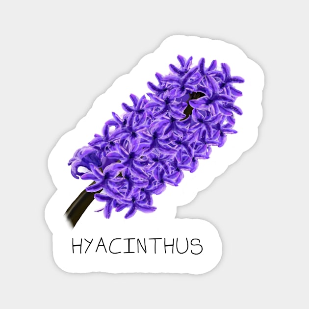 Purple Hyacinth Genus Print Magnet by DesignsBySaxton