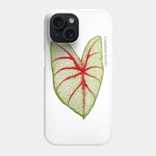 Caladium Bicolor | Plant Phone Case