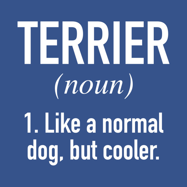 Discover Terrier Dog - Funny Terrier Owner - Terrier - T-Shirt