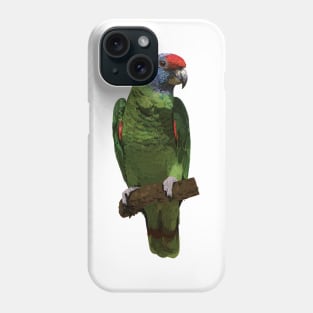 Red-tailed Amazon Phone Case