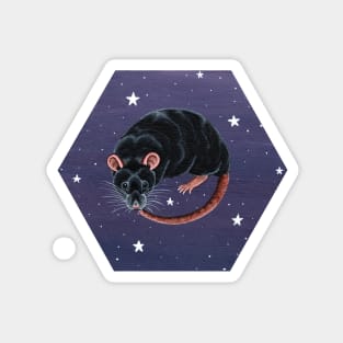 Black Rat with Stars Magnet