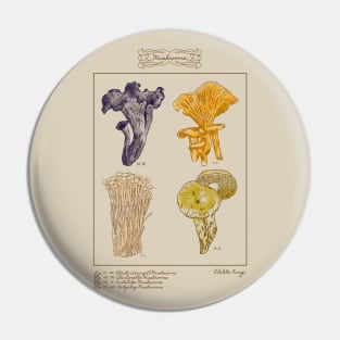 vintage illustration edible fungi Pin