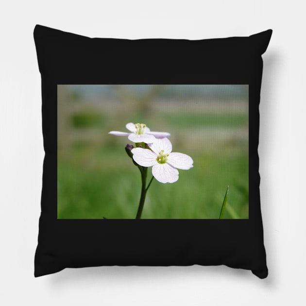 Cuckoo Flowers In The Grass Pillow by AH64D