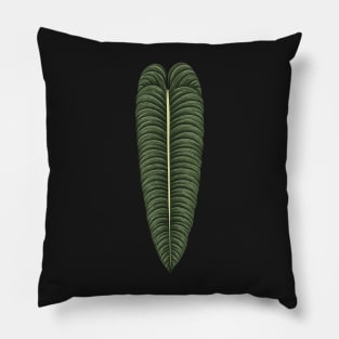 Anthurium veitchii big leaf Pillow