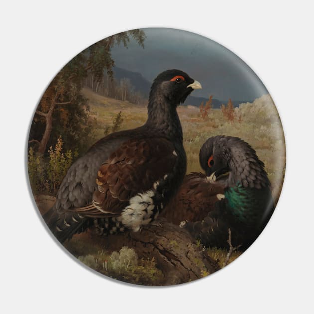 Capercaillie Cocks by Ferdinand von Wright Pin by Classic Art Stall