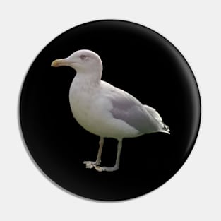 Seagull Pin