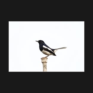 Eurasian magpie T-Shirt