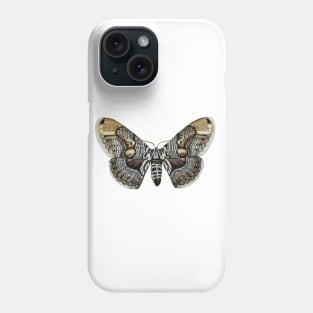 Brahmin moth Phone Case