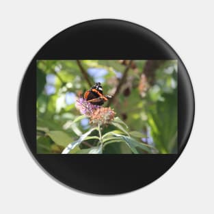 Red Admiral Pin