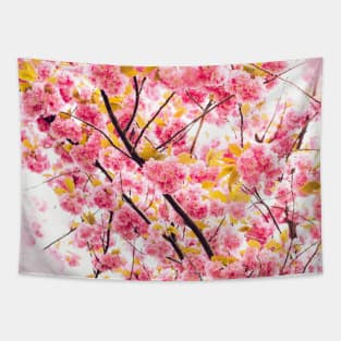 SCENERY 33 - Pink Blooming Flower Yellow Blossom Tapestry