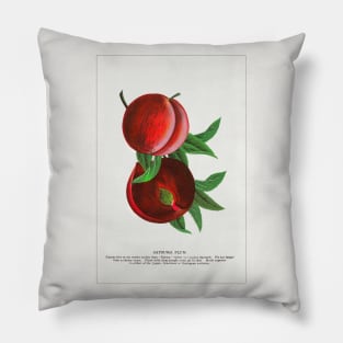 Satsuma Plum lithograph (1900) Pillow