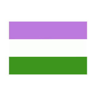 Genderqueer Pride Flag T-Shirt