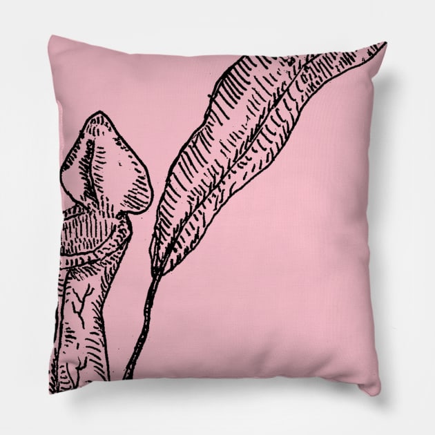Nepenthes Pillow by PsychedelicDesignCompany