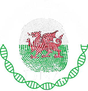 Wales Its In My DNA - Gift for Welsh From Wales Magnet