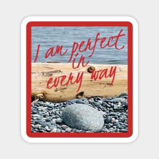 I AM PERFECT IN EVERY WAY Magnet