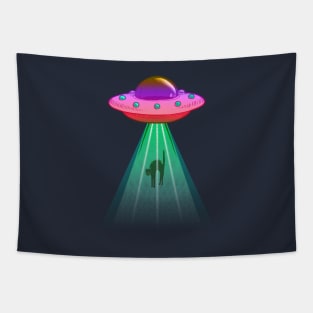 UFO Kidnaping My Cat! Tapestry