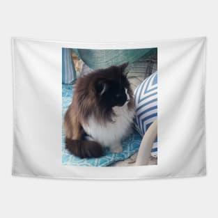 Tuxedo Cat Cute Blue Cats Tapestry