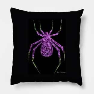 Garden Spider Pillow