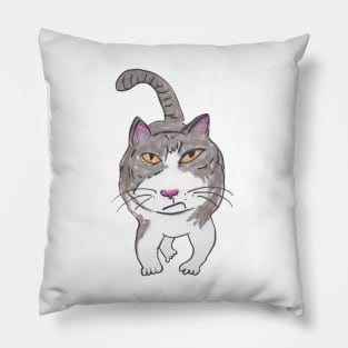 Fun Cranky Cat Friend Doodle Pillow