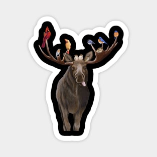 Moose Feathers Magnet