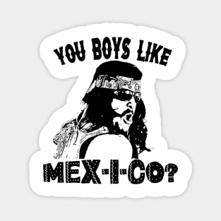 You Boys Like Mex-I-co? Magnet