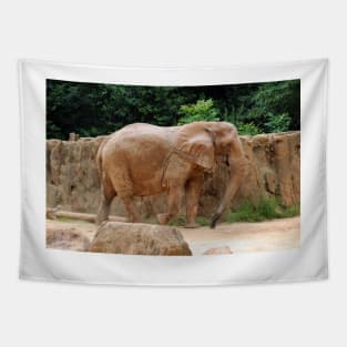 African Elephant Tapestry