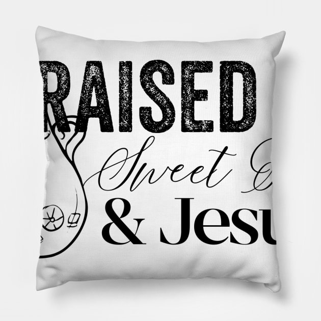 Raised on Sweet Tea & Jesus Pillow by IrieSouth