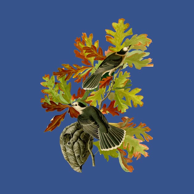 Audubons Canada Jays in White Oak by Dystopianpalace