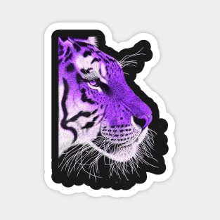 Purple and white ombre siberian tiger Magnet