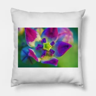 flower in bloom Pillow