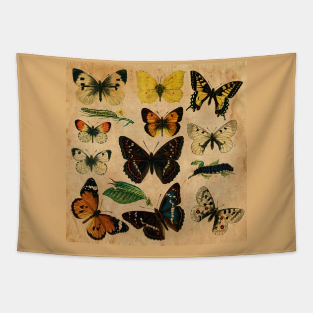 Butterfly Tapestry by My Artsam