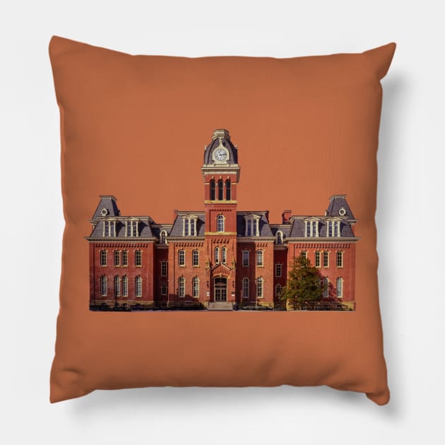 Woodburn Hall Pillow by Enzwell