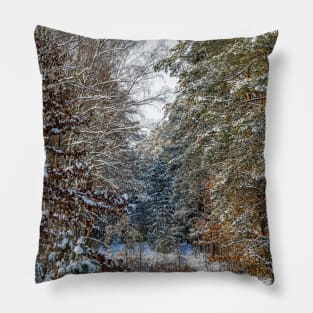 Winter landscape with snow-covered spruce forest. Pillow