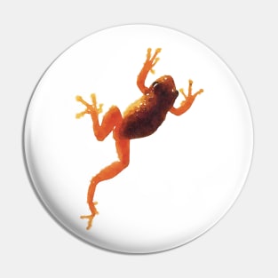 Spring Peeper Frog Pin