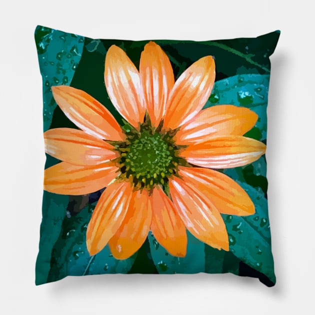 Single Coneflower Pillow by PSCSCo