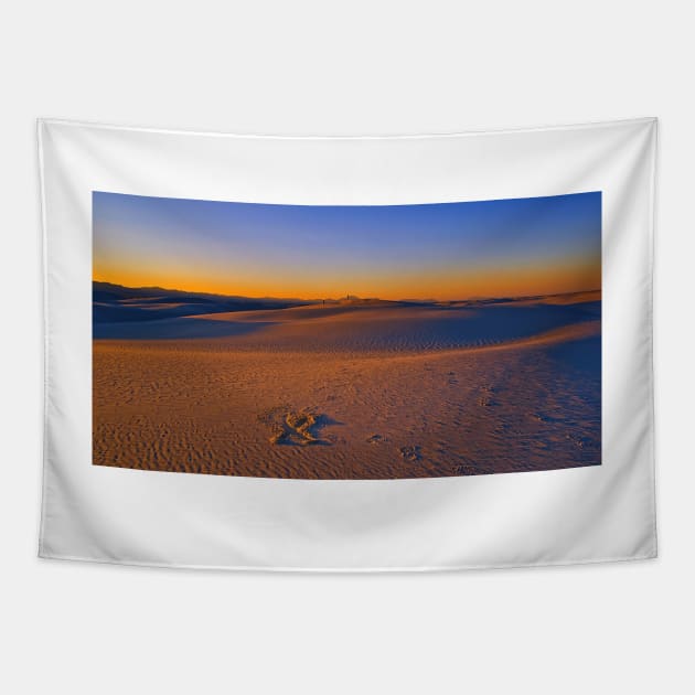 Fading Light at White Sands Tapestry by briankphoto