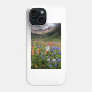 Alpine flowers in Rustler's Gulch, USA (C006/6000) Phone Case