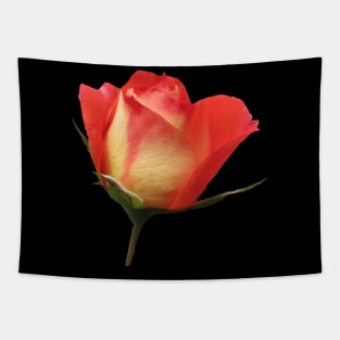 orange rose, roses, flower, flowers, bloom Tapestry