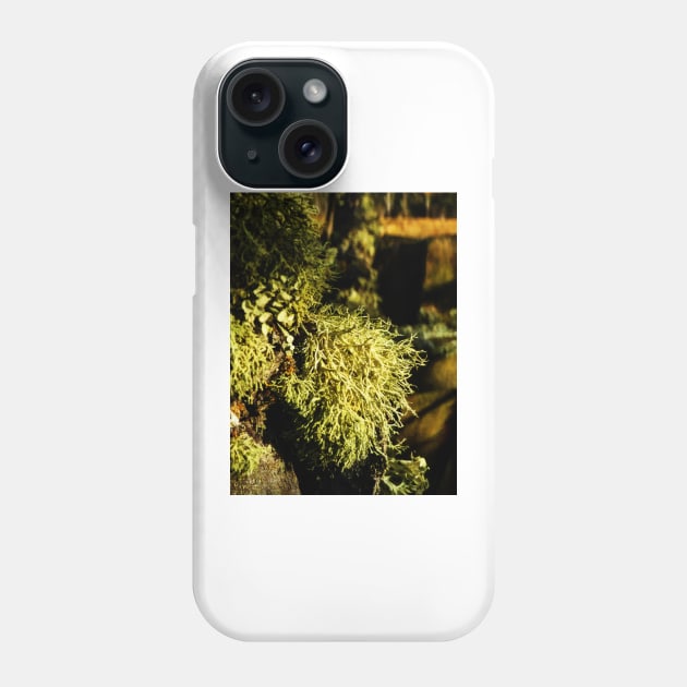 A Lichen Lunch Phone Case by PictureNZ