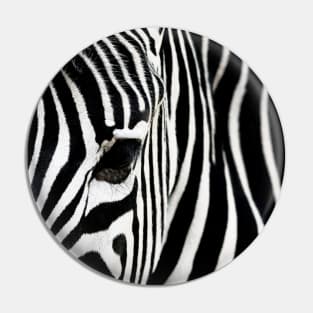 Eye of a zebra Pin