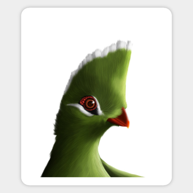 Knysna Turaco