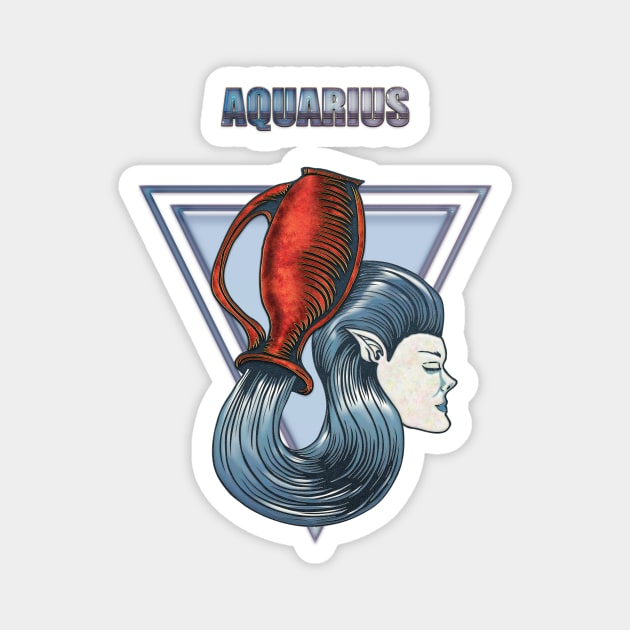 Zodiac sign aquarius Magnet by Nicky2342