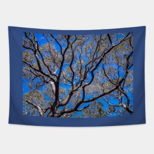 Beyond The Treetops To The Blue Sky Tapestry