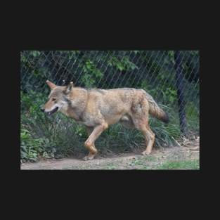 Red Wolf T-Shirt